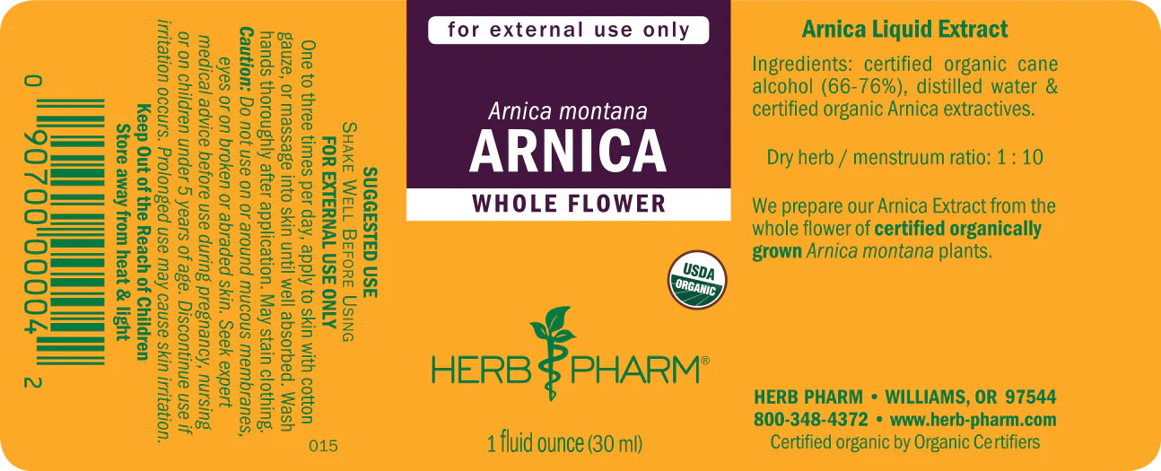 Arnica - Image 3
