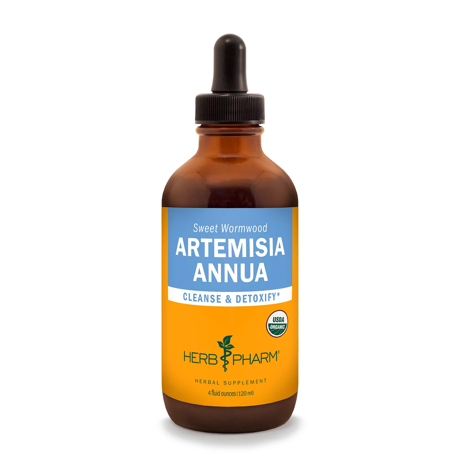 Artemisia Annua - Image 2
