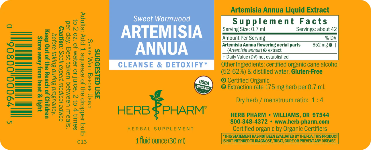 Artemisia Annua - Image 3