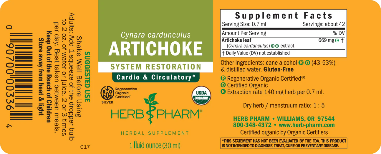 Artichoke - Image 3