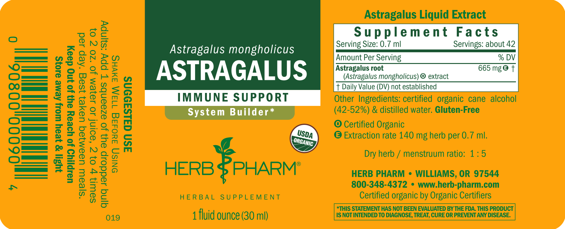 Astragalus - Image 3