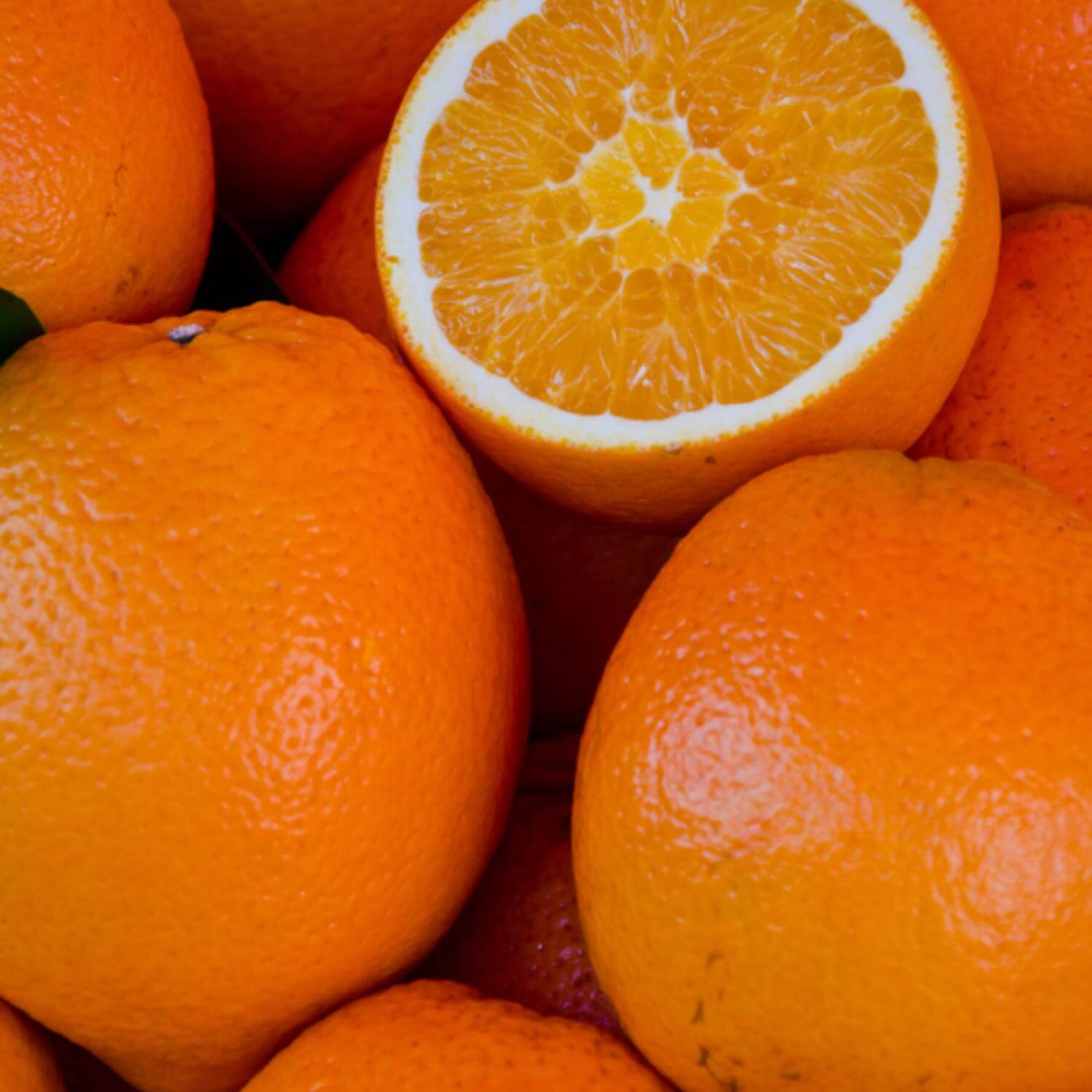 Better Bitters™: Orange - Image 3