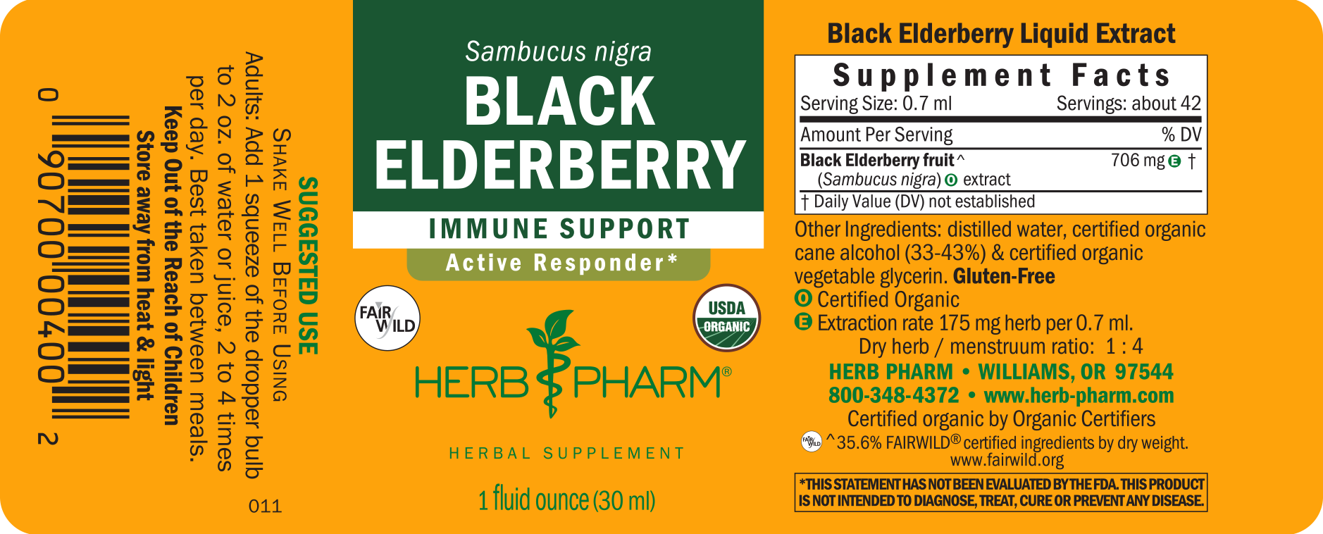 Black Elderberry - Image 3