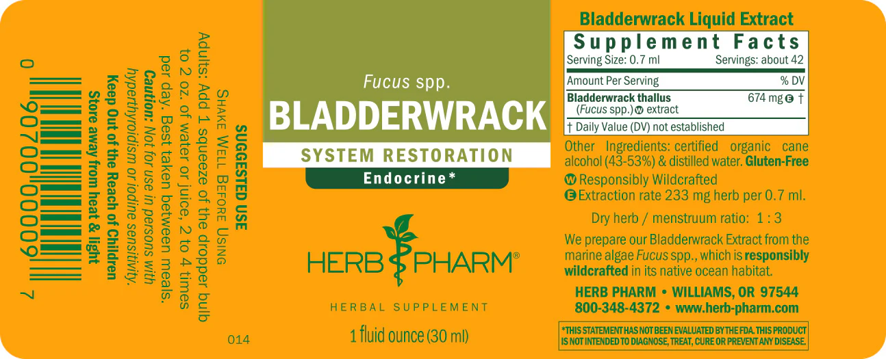 Bladderwrack - Image 2