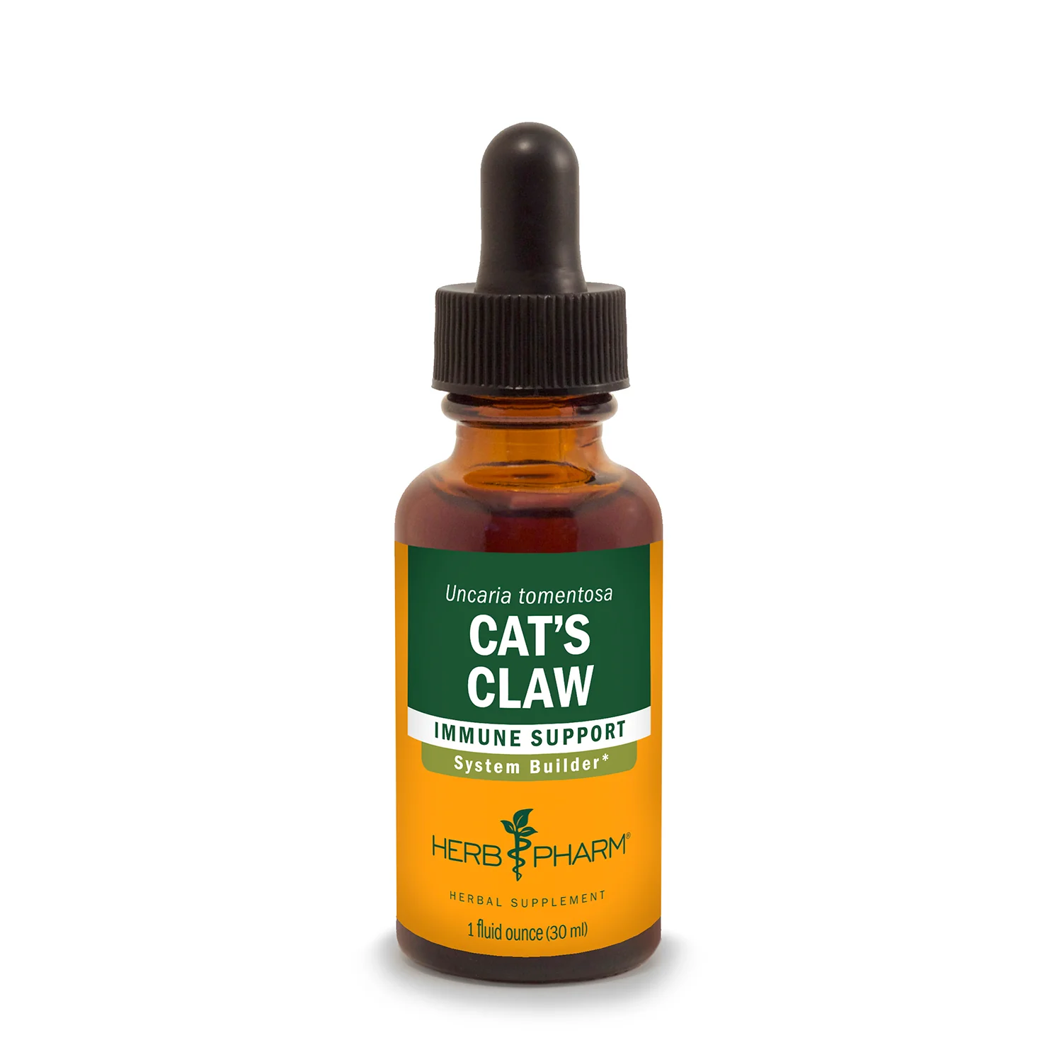 Cat's Claw