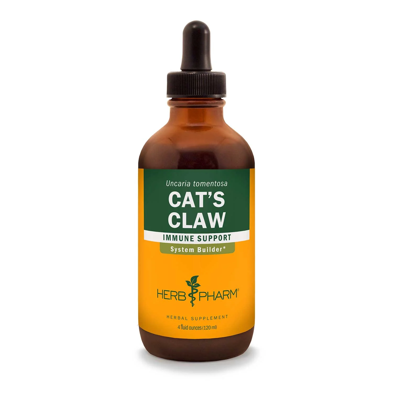 Cat's Claw - Image 2