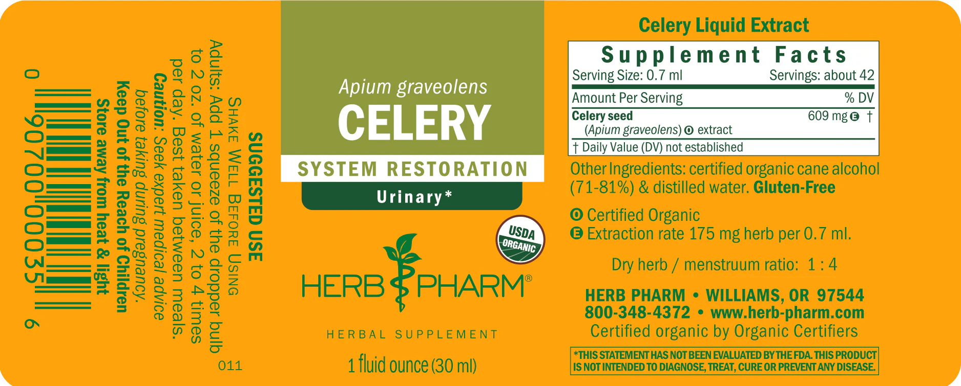 Celery - Image 3