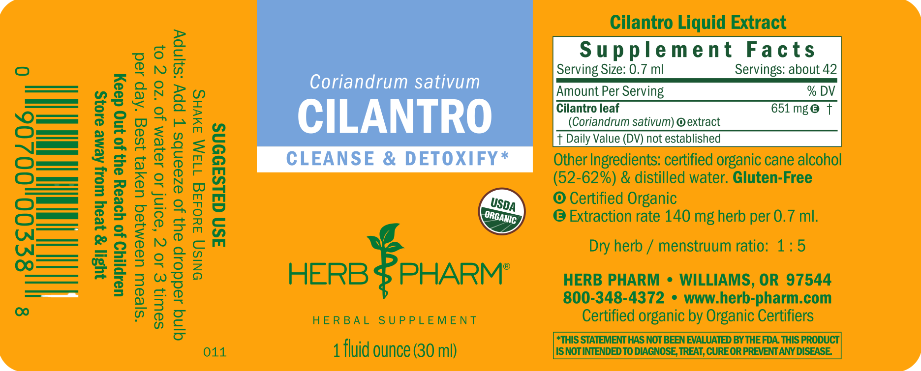 Cilantro - Image 3