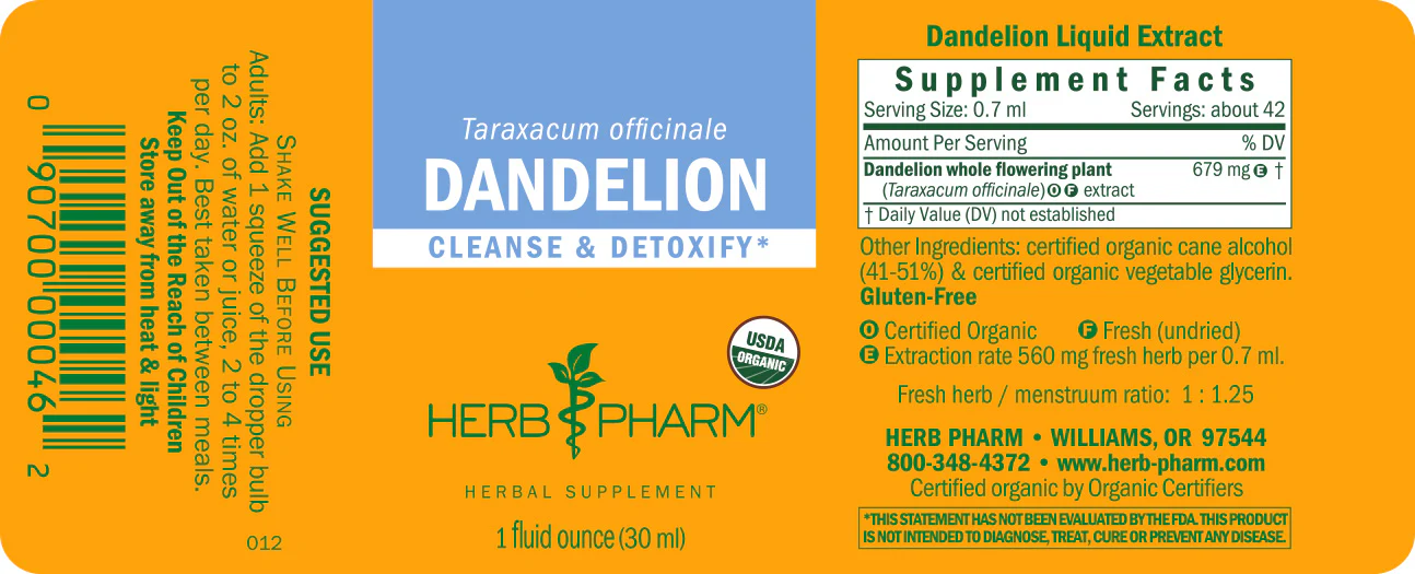 Dandelion - Image 3