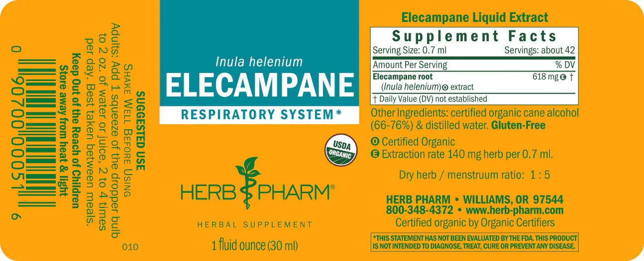 Elecampane - Image 3