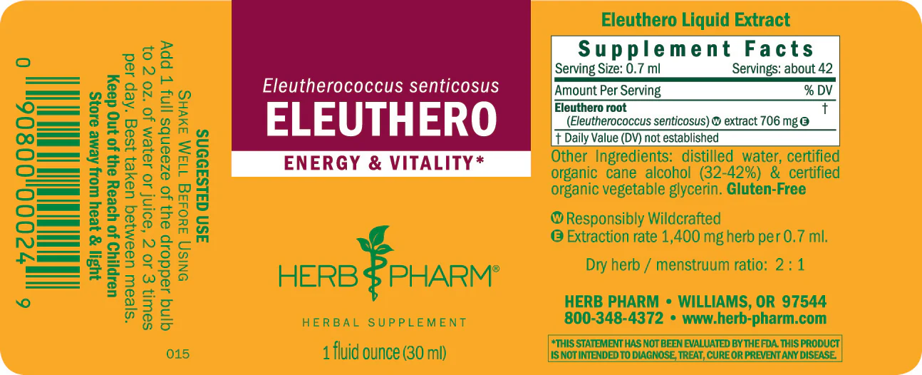 Eleuthero - Image 3