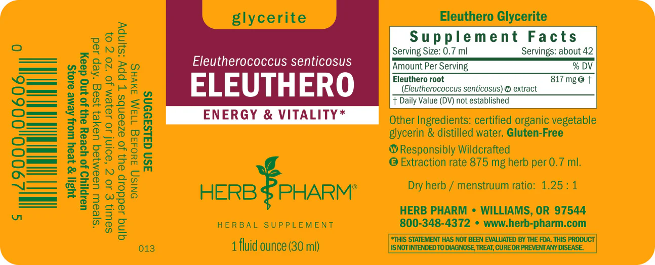 Eleuthero Glycerite - Image 3