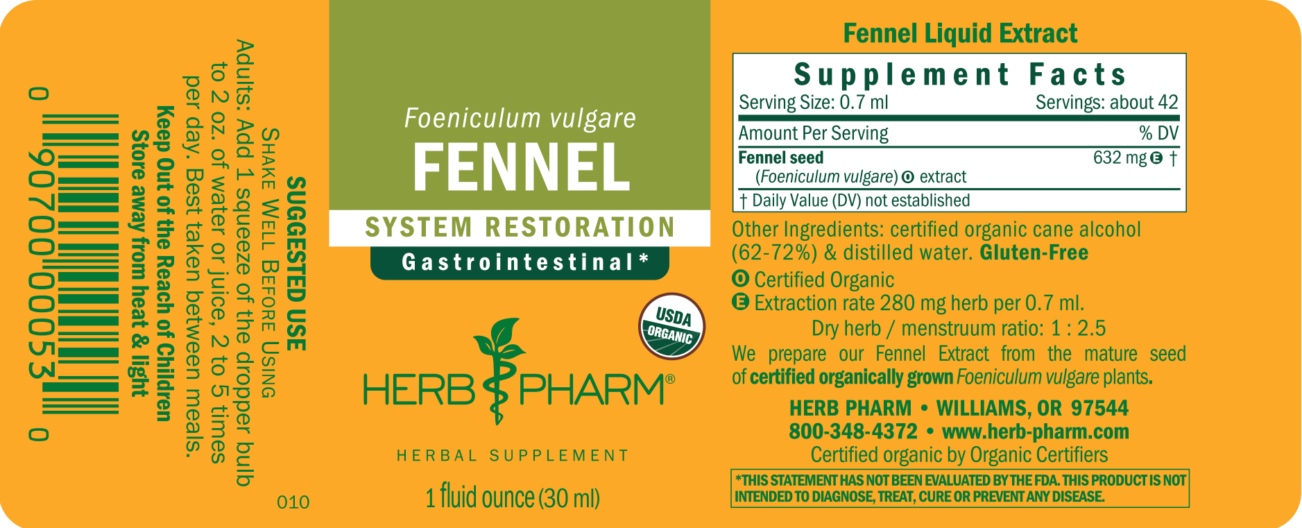 Fennel - Image 3