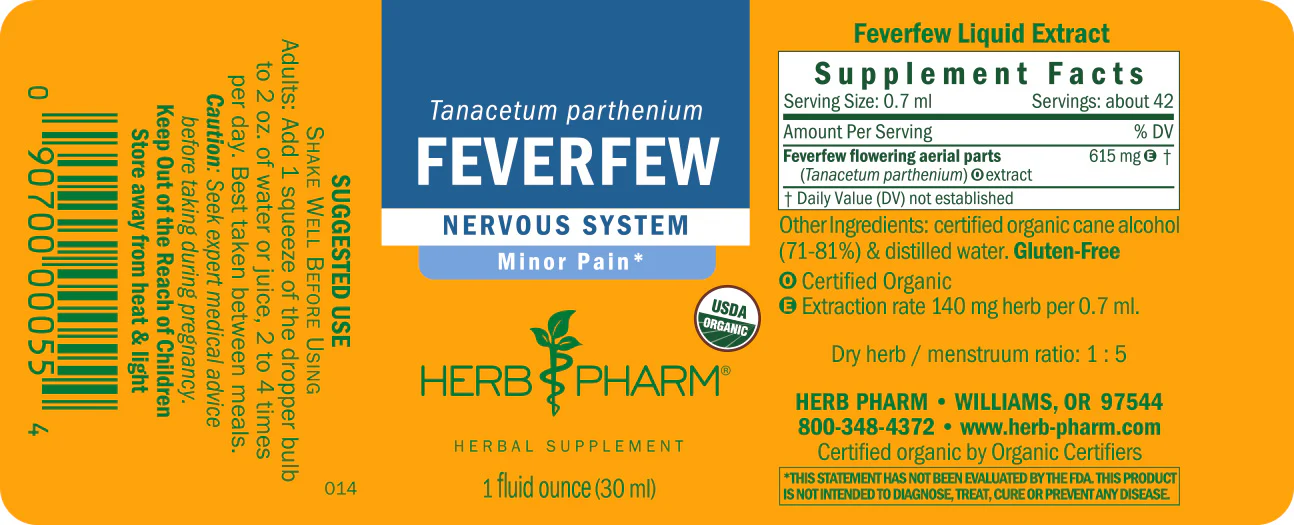 Feverfew - Image 3