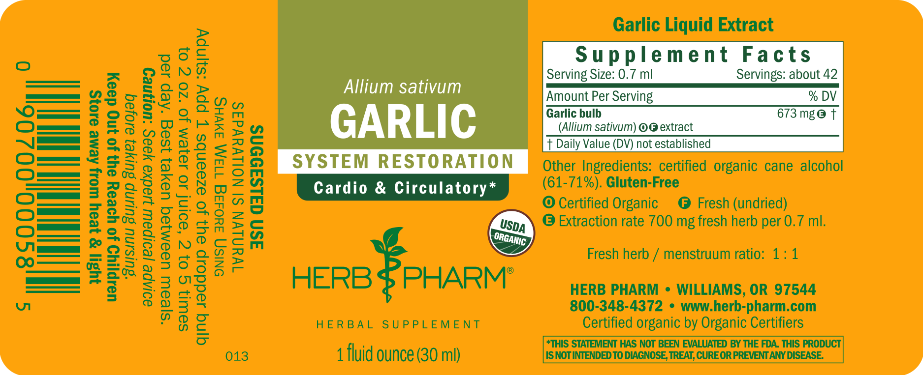 Garlic - Image 3