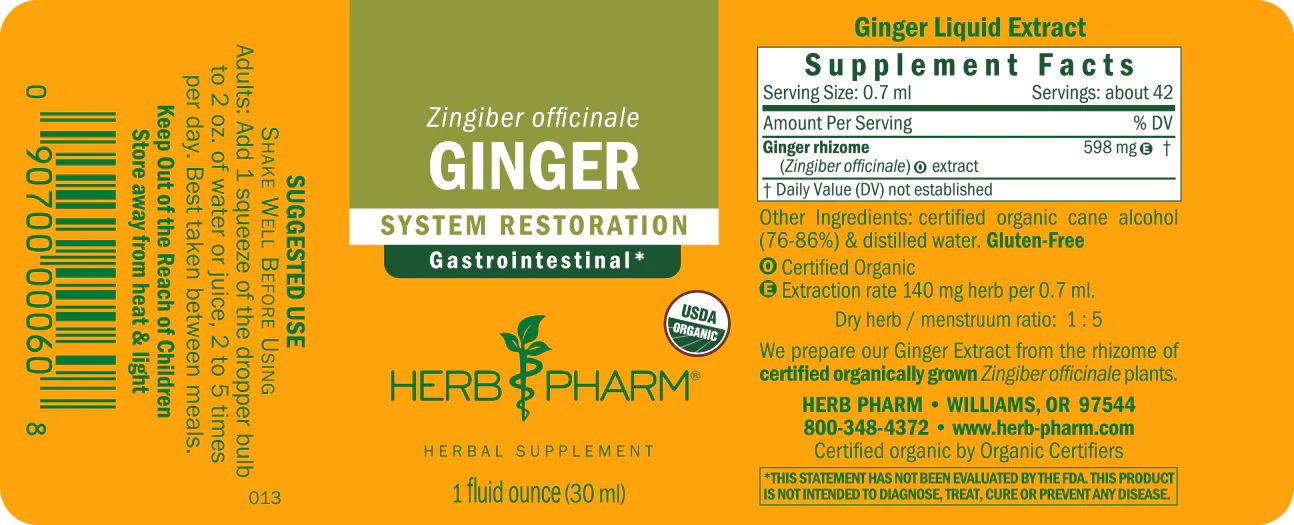 Ginger - Image 3