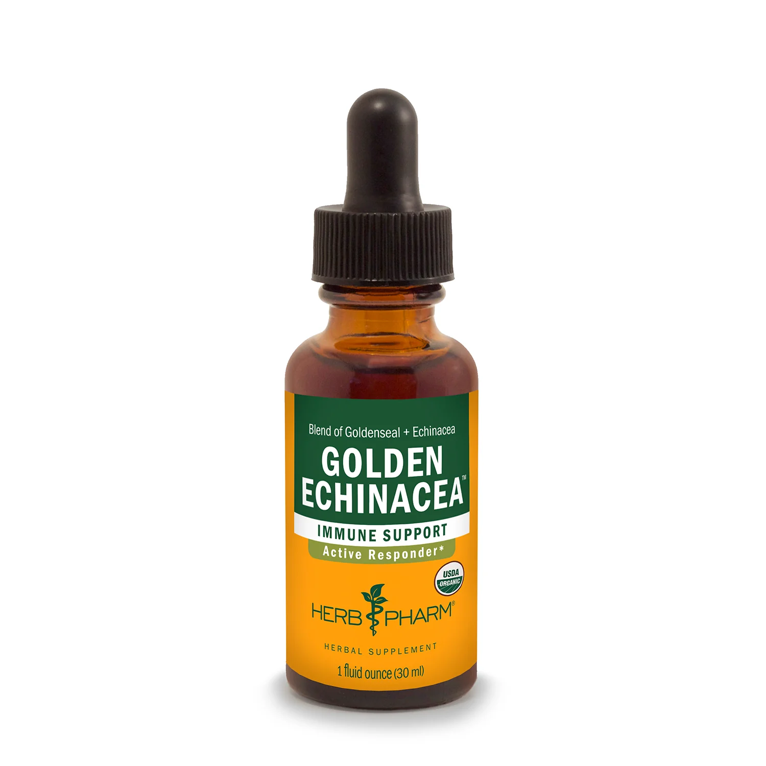 Golden Echinacea™