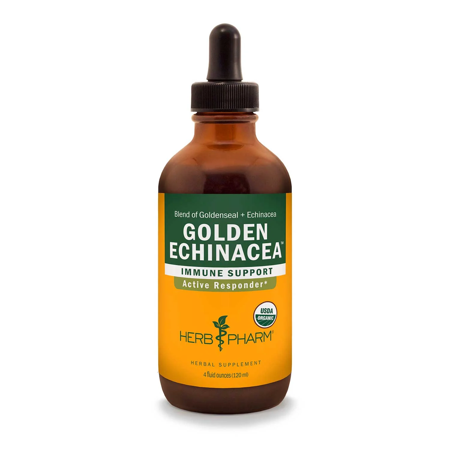 Golden Echinacea™ - Image 2