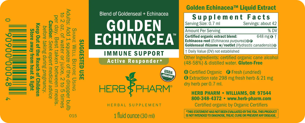 Golden Echinacea™ - Image 3