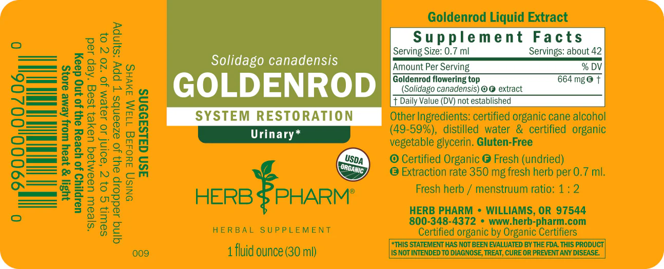 Goldenrod - Image 3