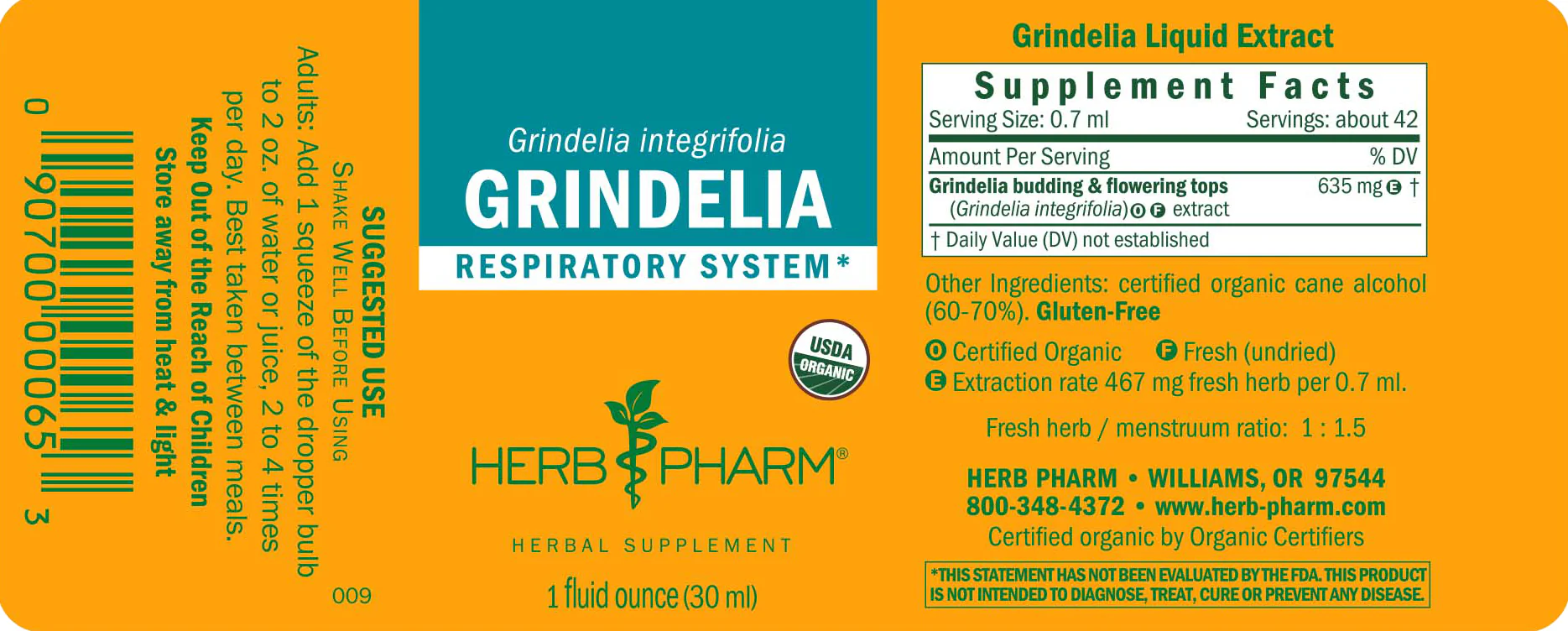 Grindelia - Image 3