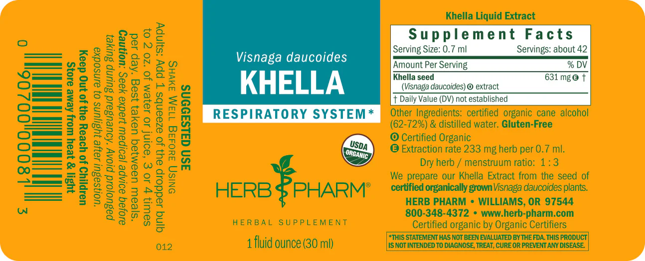 Khella - Image 3