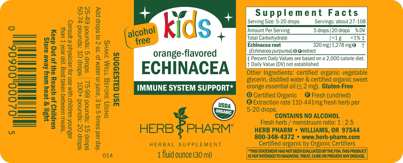 Kids Echinacea - Image 3