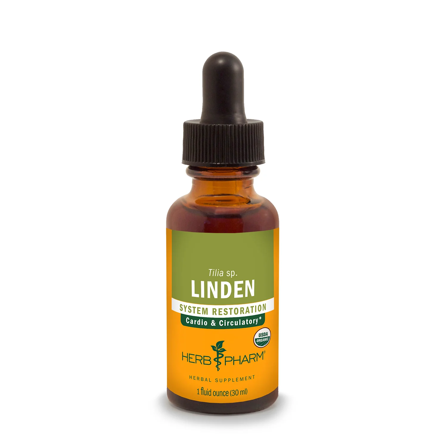 Linden
