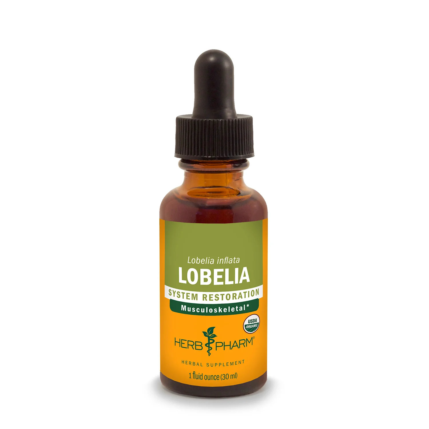 Lobelia