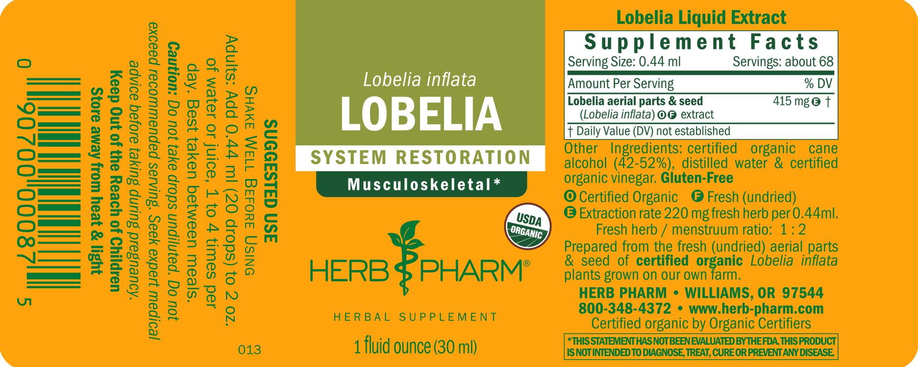 Lobelia - Image 3