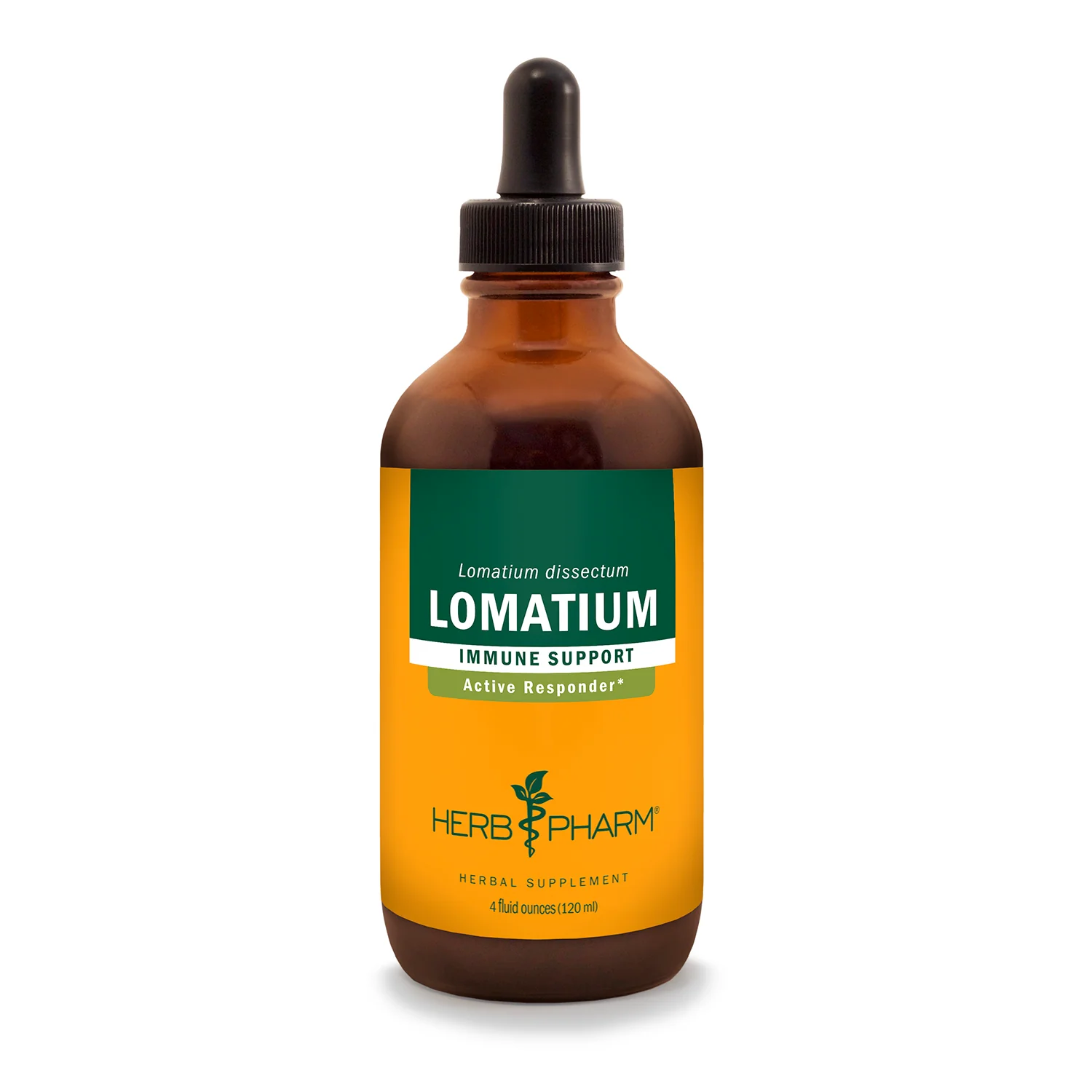 Lomatium - Image 2