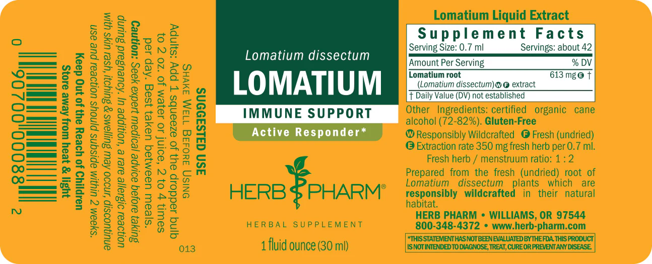 Lomatium - Image 3