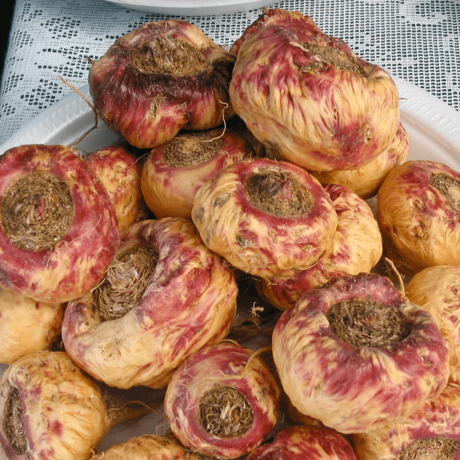 Maca - Image 3