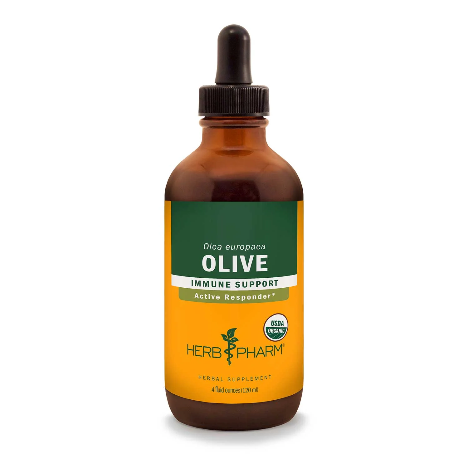 Olive - Image 2