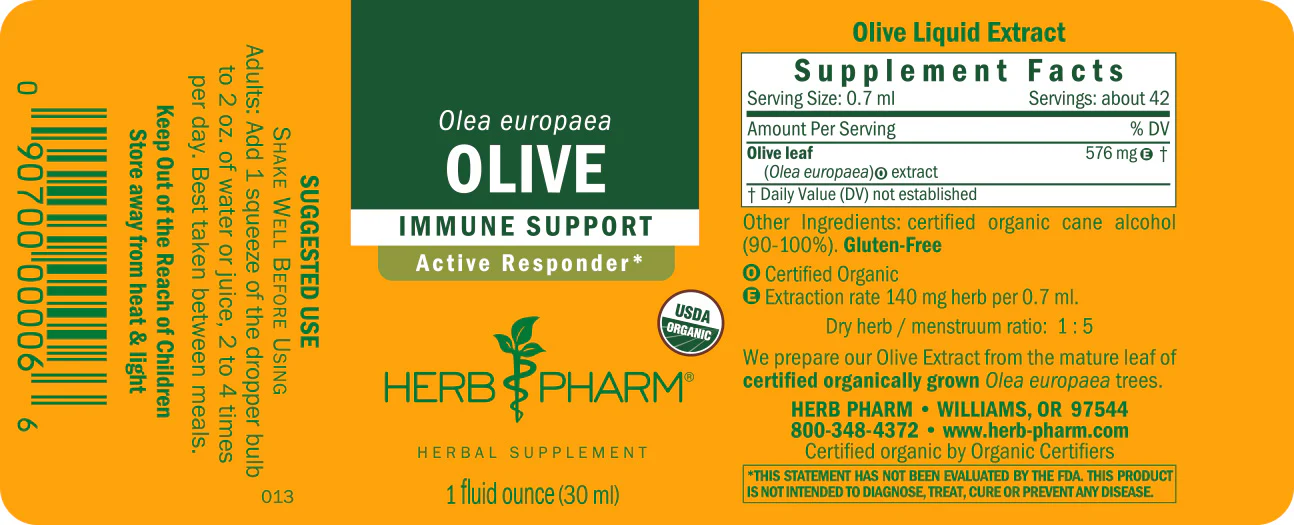 Olive - Image 3
