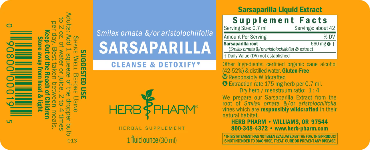 Sarsaparilla - Image 3