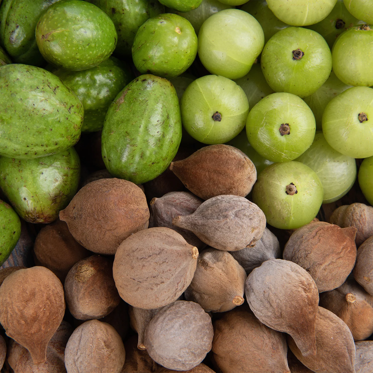 Triphala - Image 3