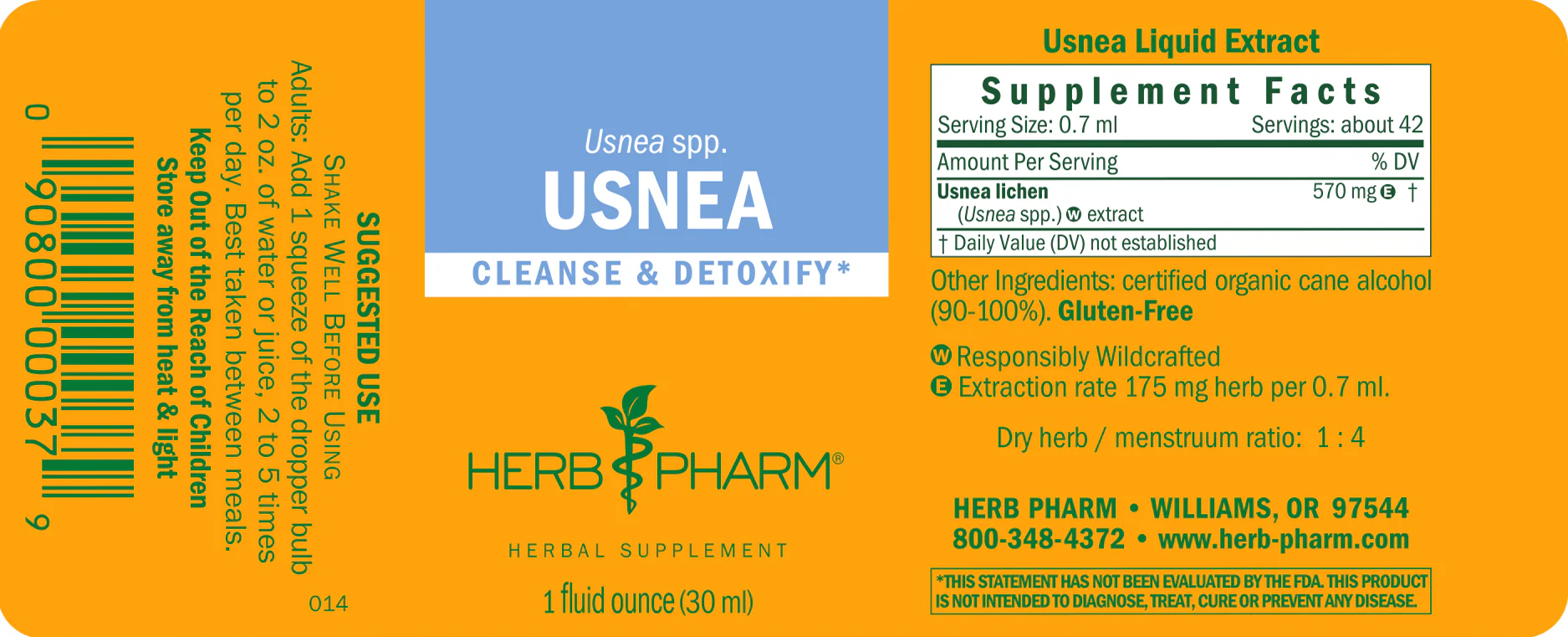 Usnea - Image 3