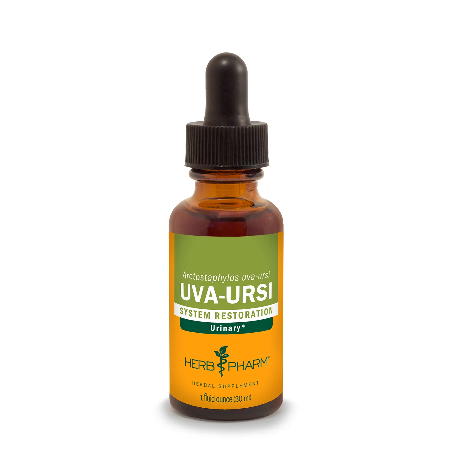 Uva-Ursi