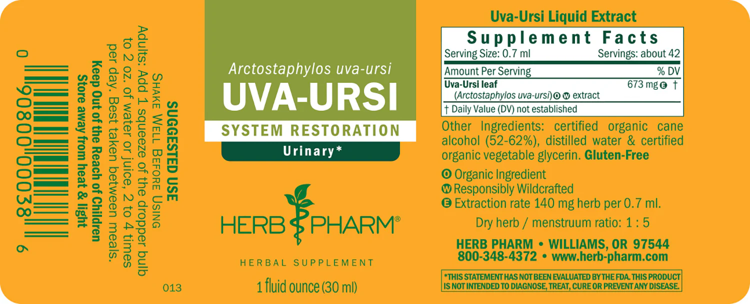 Uva-Ursi - Image 3